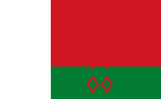 belarus flag