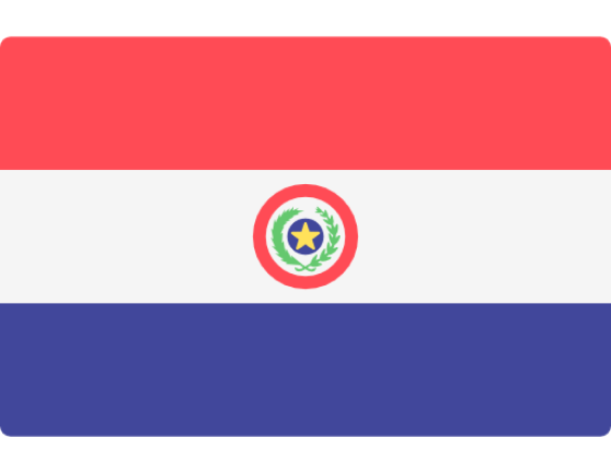 paraguay flag